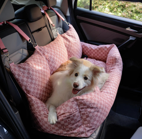 Asiento Primera Clase TheDogs - THE DOGS CHILE