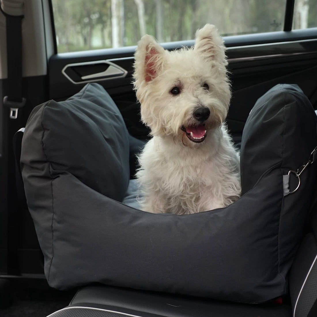 Asiento Primera Clase THE DOGS — Viajes seguros y cómodos
