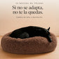 Cama Anti-Estrés THE DOGS — Menos ansiedad, más descanso