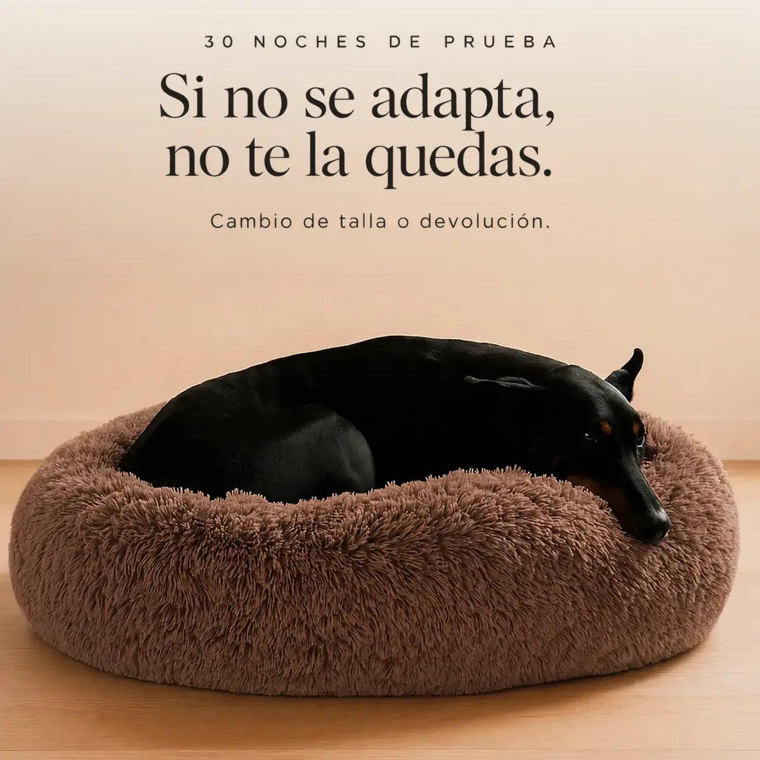 Cama Anti-Estrés THE DOGS — Menos ansiedad, más descanso