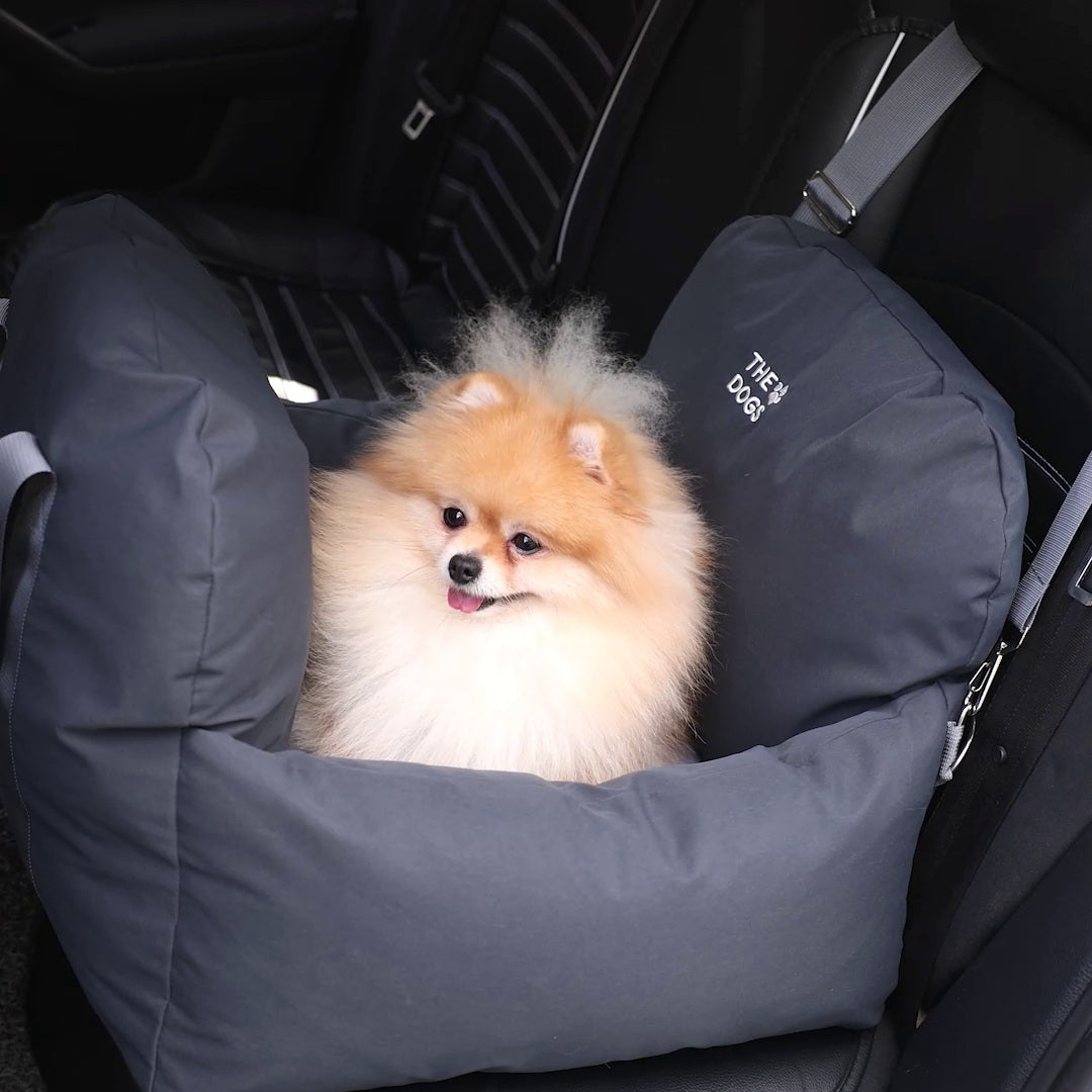 Asiento Primera Clase THE DOGS — Viajes seguros y cómodos