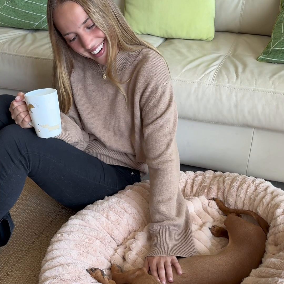 Luxury Edition: Cama Anti-Estrés THE DOGS