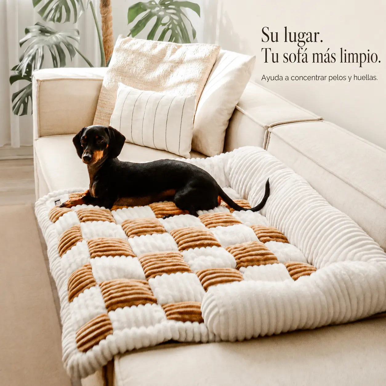 Camita de Sillón Signature para Perros