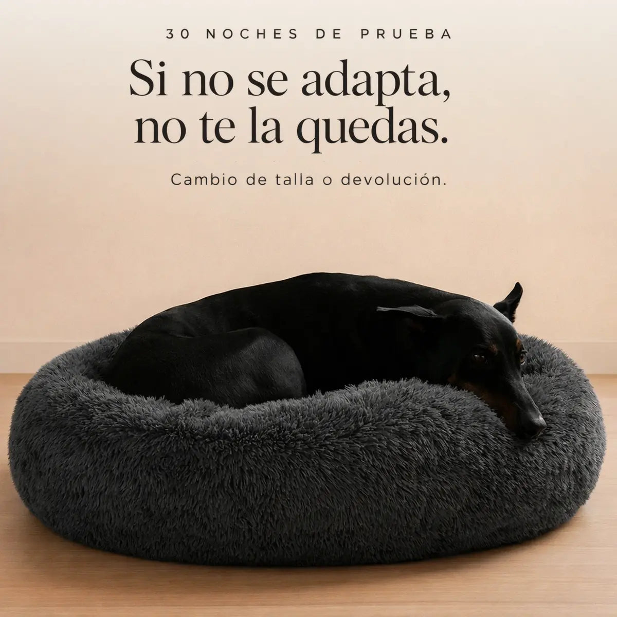 Cama Anti-Estrés THE DOGS — Menos ansiedad, más descanso