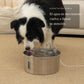 Aquaflow THE DOGS — Agua siempre limpia y fresca