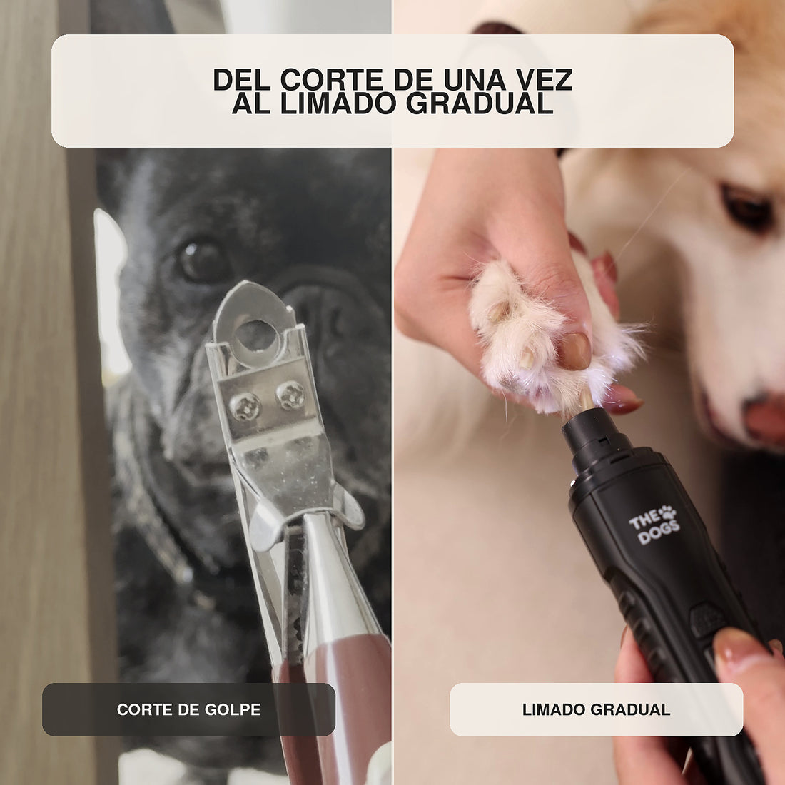 Comparación entre cortaúñas tradicional y limado gradual con el limador eléctrico THE DOGS NAILS