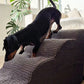 Rampa Pendiente Suave THE DOGS