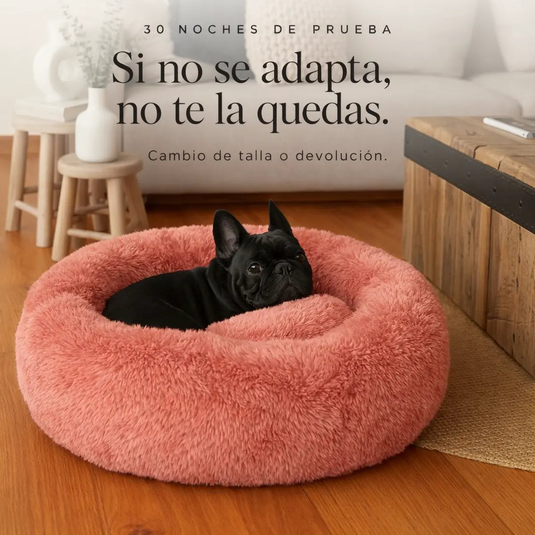 Cama Anti-Estrés THE DOGS — Menos ansiedad, más descanso
