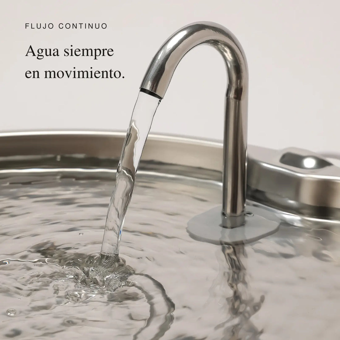 Aquaflow THE DOGS — Agua siempre limpia y fresca