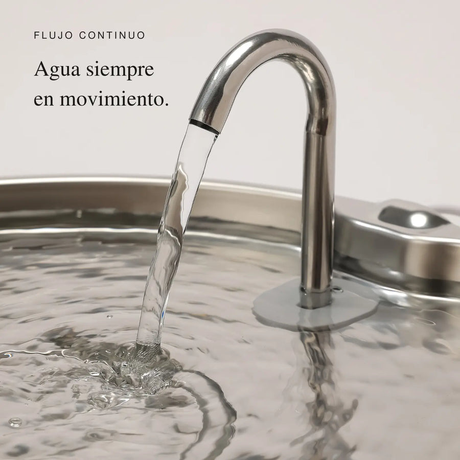 Fuente AquaFlow THE DOGS en uso