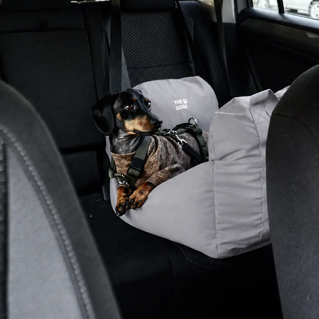 Asiento Primera Clase THE DOGS — Viajes seguros y cómodos