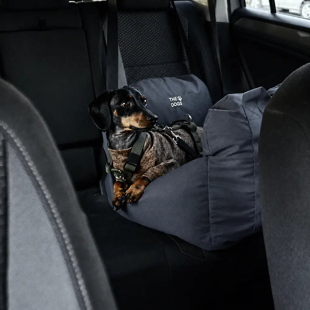 Asiento Primera Clase THE DOGS — Viajes seguros y cómodos