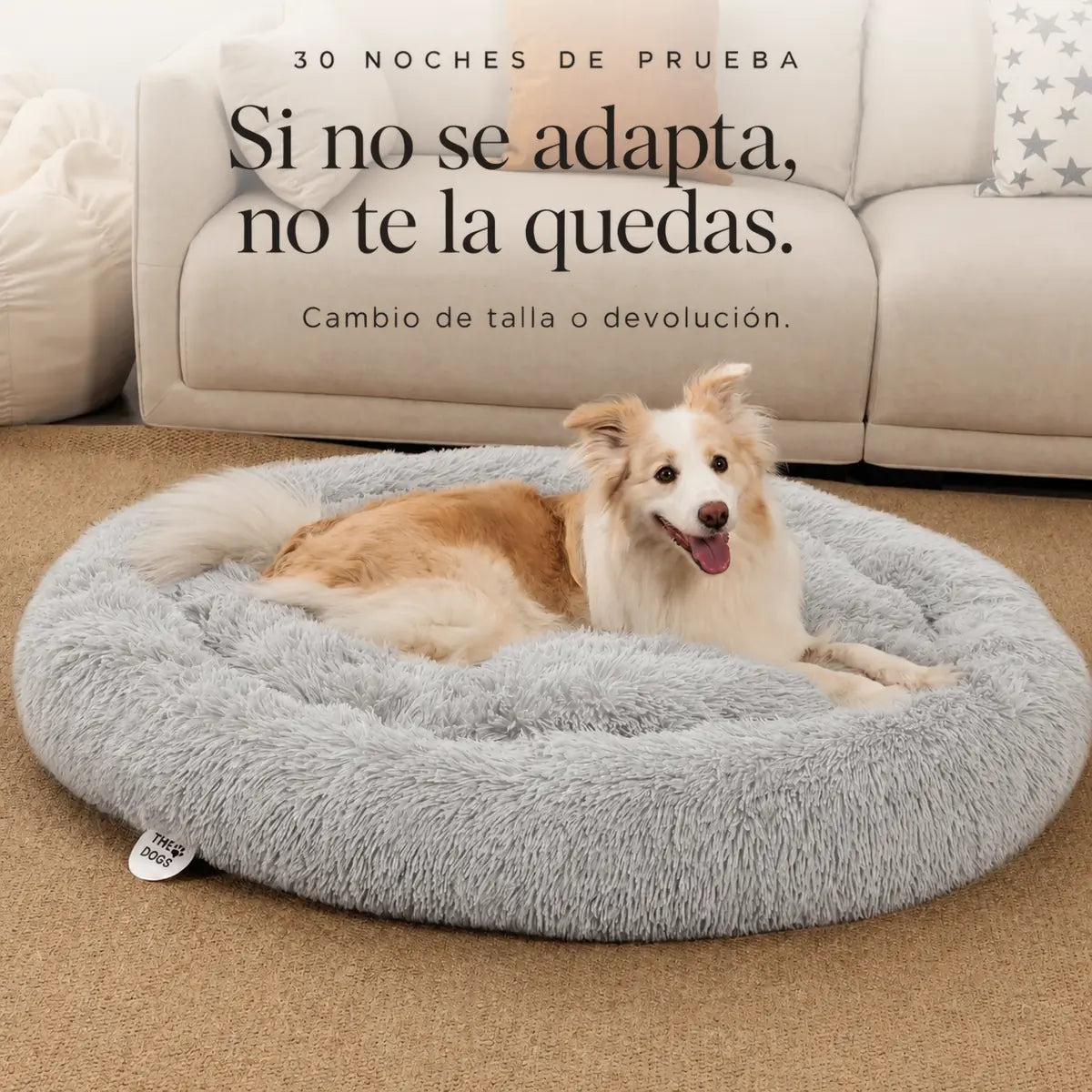 Cama Anti-Estrés THE DOGS — Menos ansiedad, más descanso