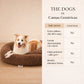 Cama Anti-Estrés THE DOGS — Menos ansiedad, más descanso