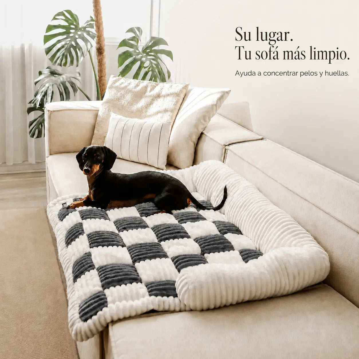 Camita de Sillón Signature para Perros