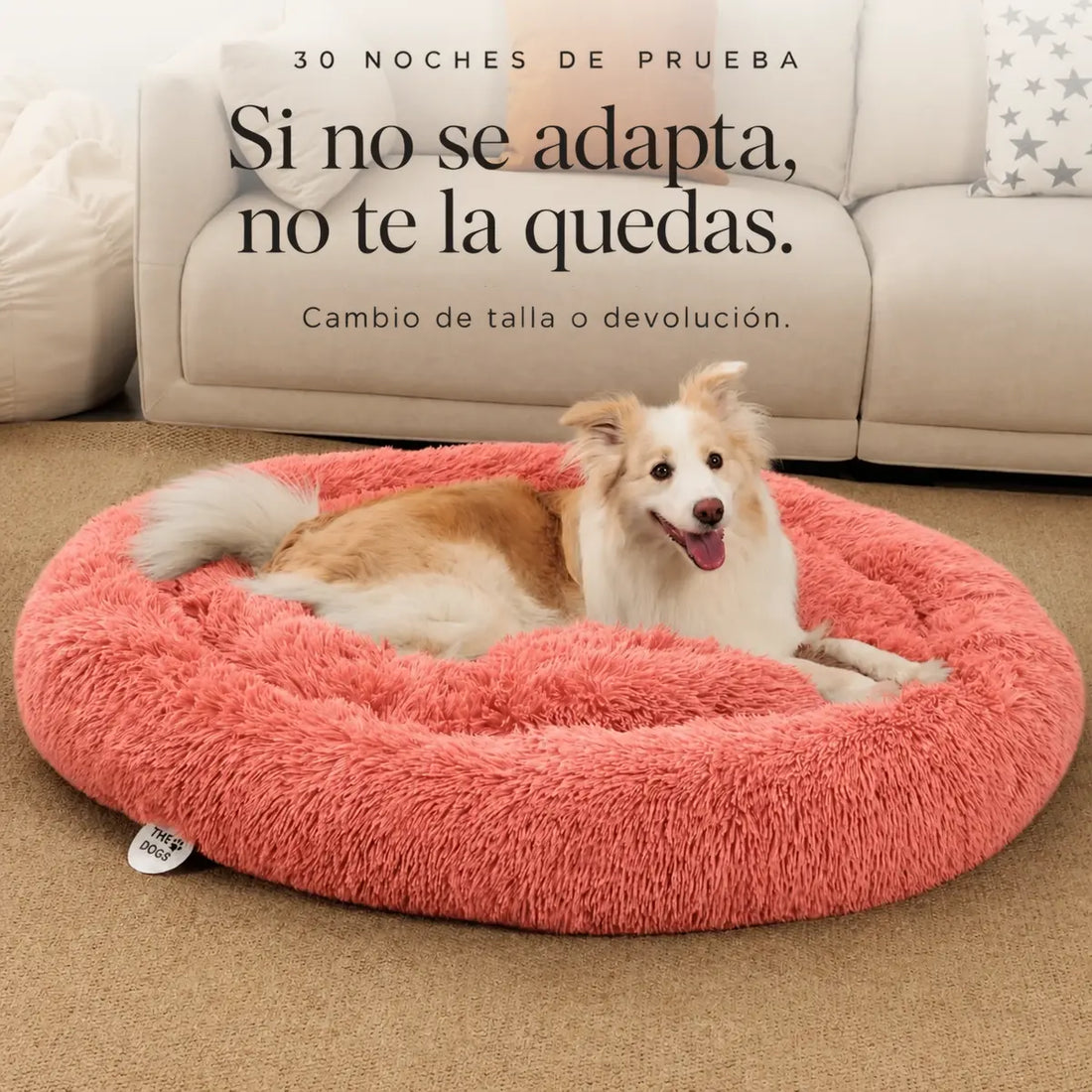 Cama Anti-Estrés THE DOGS — Menos ansiedad, más descanso
