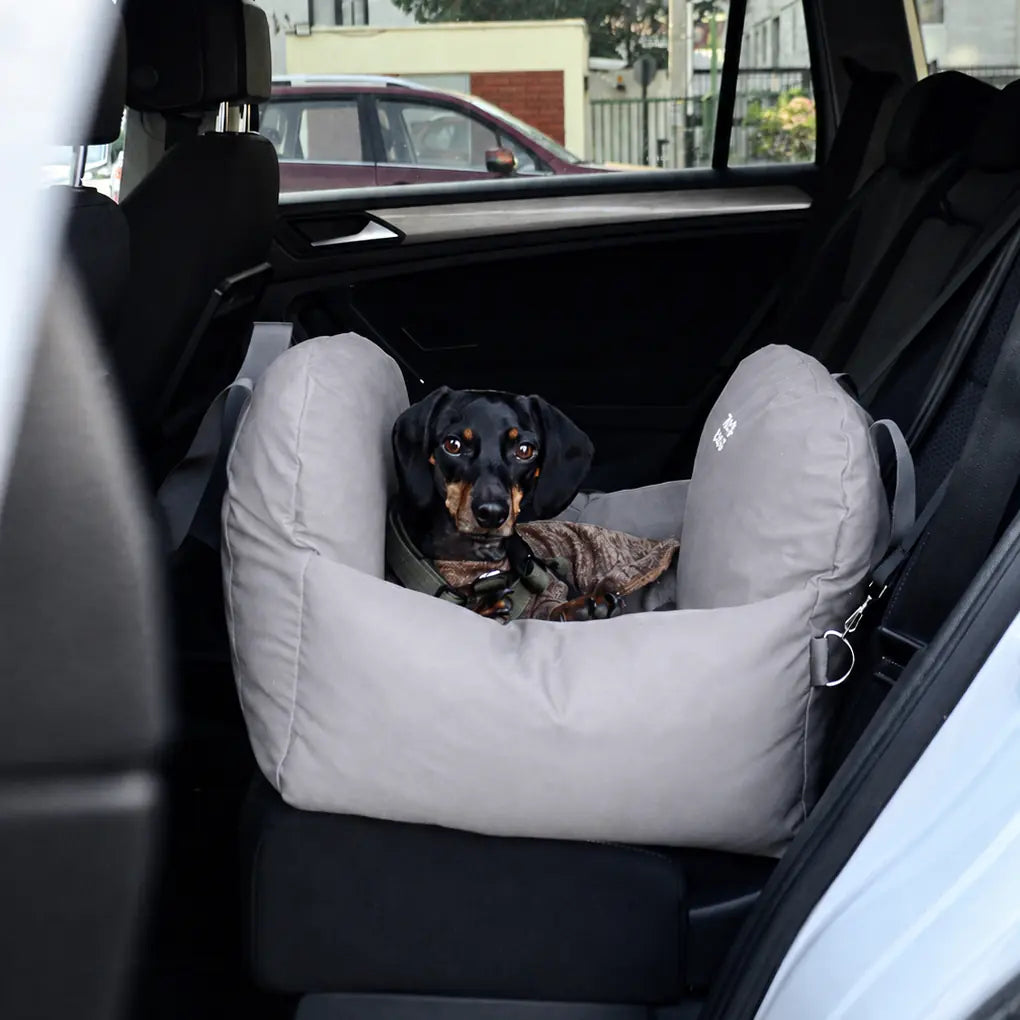 Asiento Primera Clase THE DOGS — Viajes seguros y cómodos