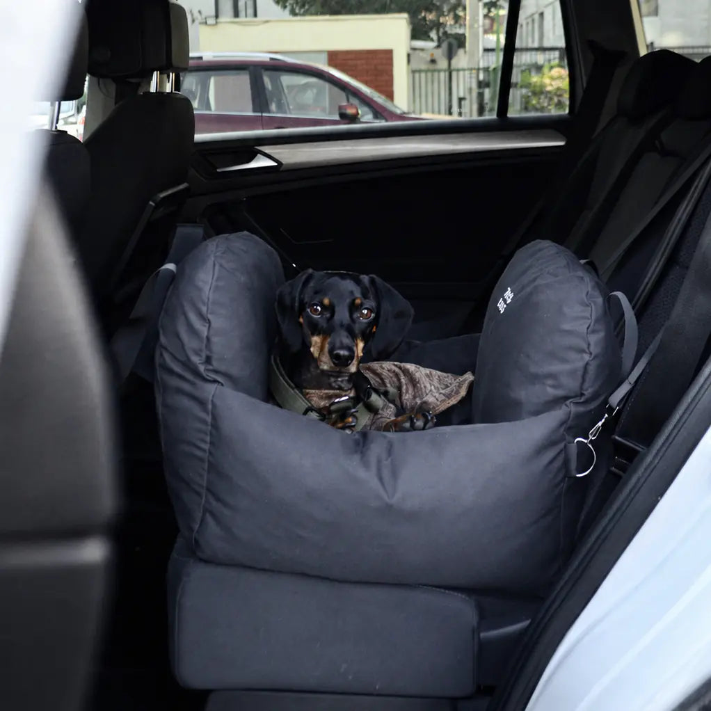 Asiento Primera Clase THE DOGS — Viajes seguros y cómodos