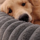 Luxury Edition: Cama Anti-Estrés THE DOGS