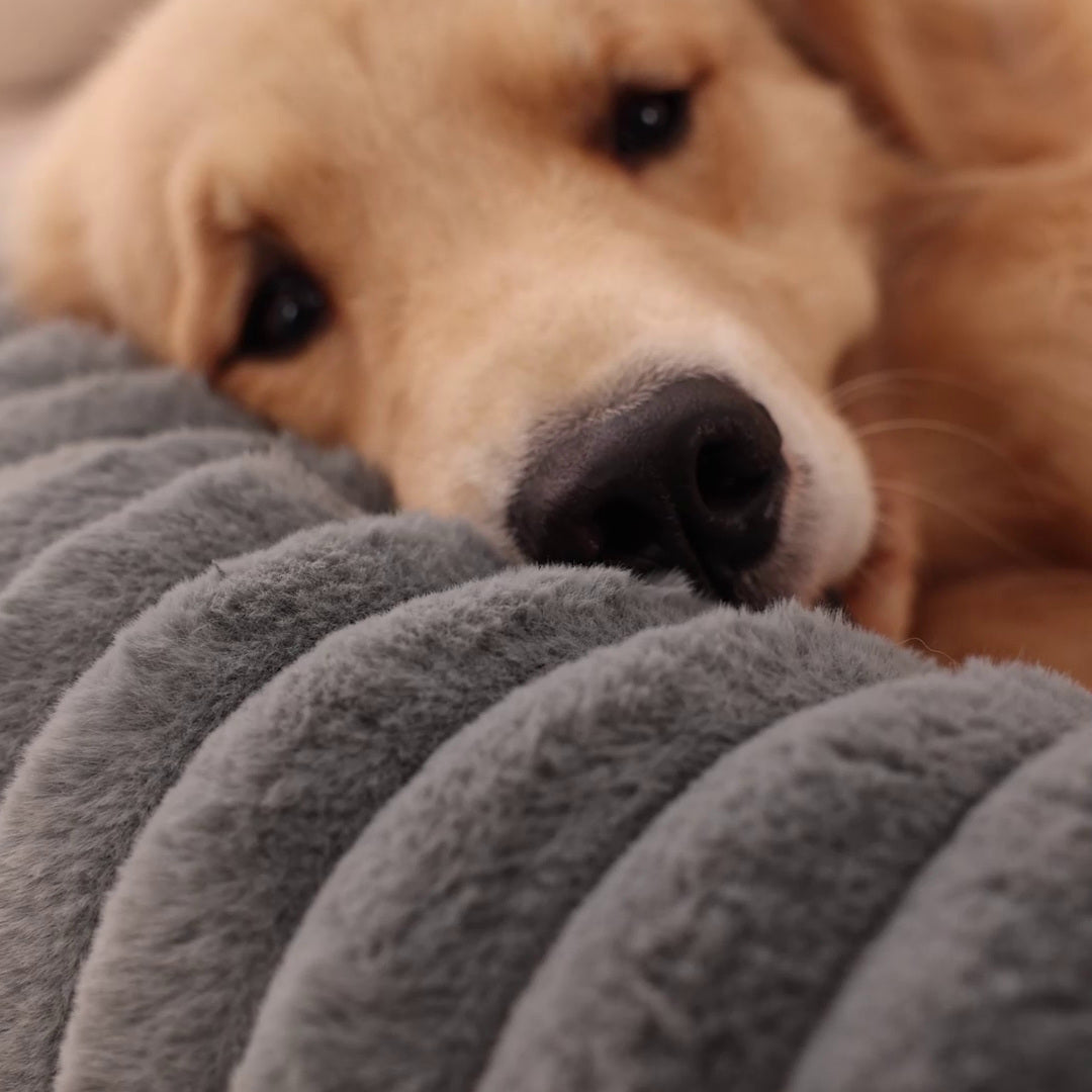 Luxury Edition: Cama Anti-Estrés THE DOGS