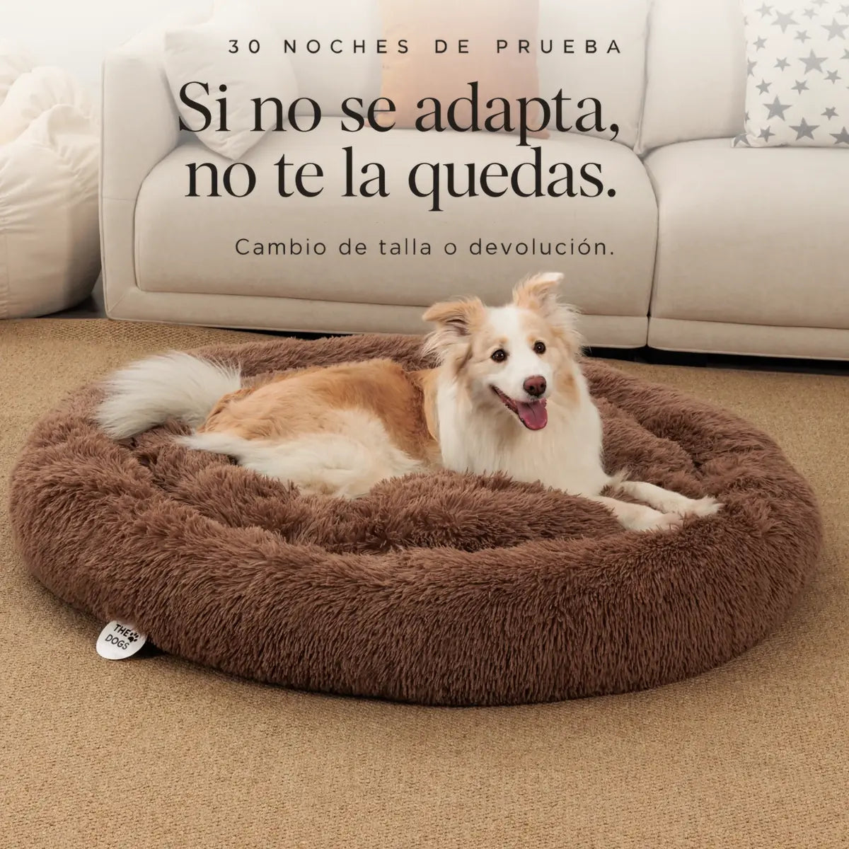 Cama Anti-Estrés THE DOGS — Menos ansiedad, más descanso