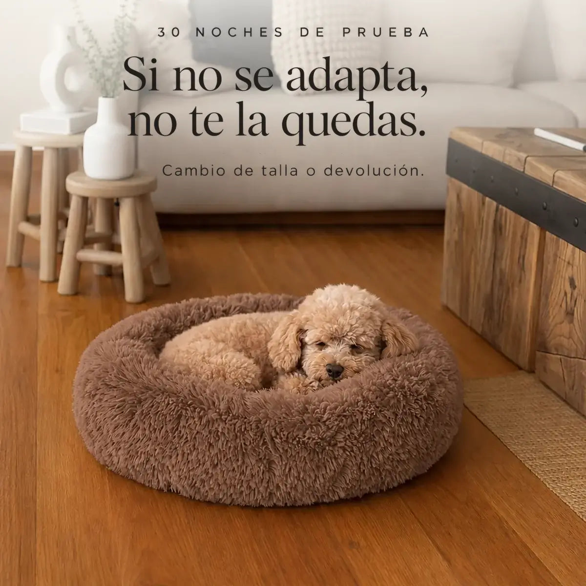 Cama Anti-Estrés THE DOGS — Menos ansiedad, más descanso