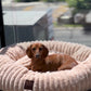 Luxury Edition: Cama Anti-Estrés THE DOGS