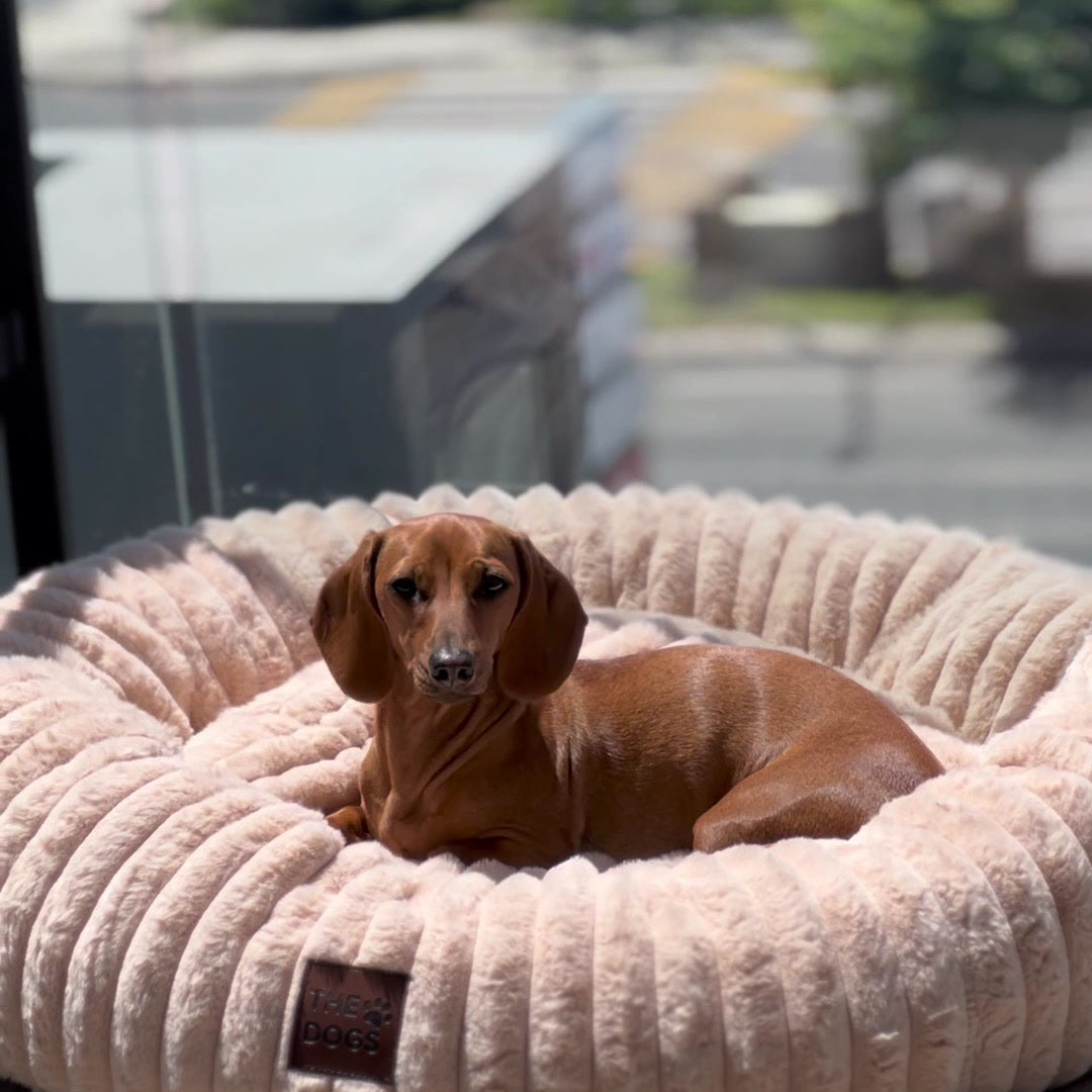 Luxury Edition: Cama Anti-Estrés THE DOGS
