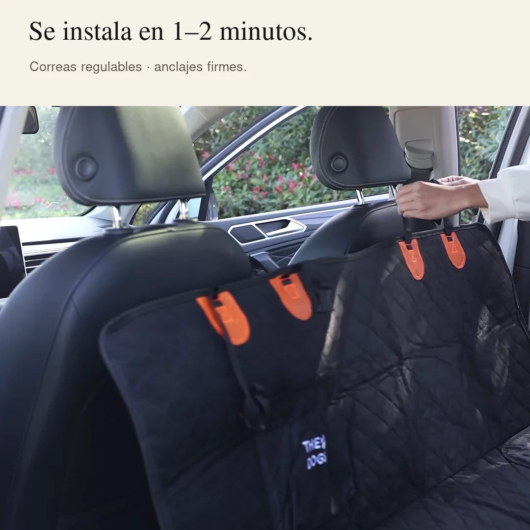 Funda + Cinturón Viajes Seguros