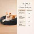 Cama Anti-Estrés THE DOGS — Menos ansiedad, más descanso