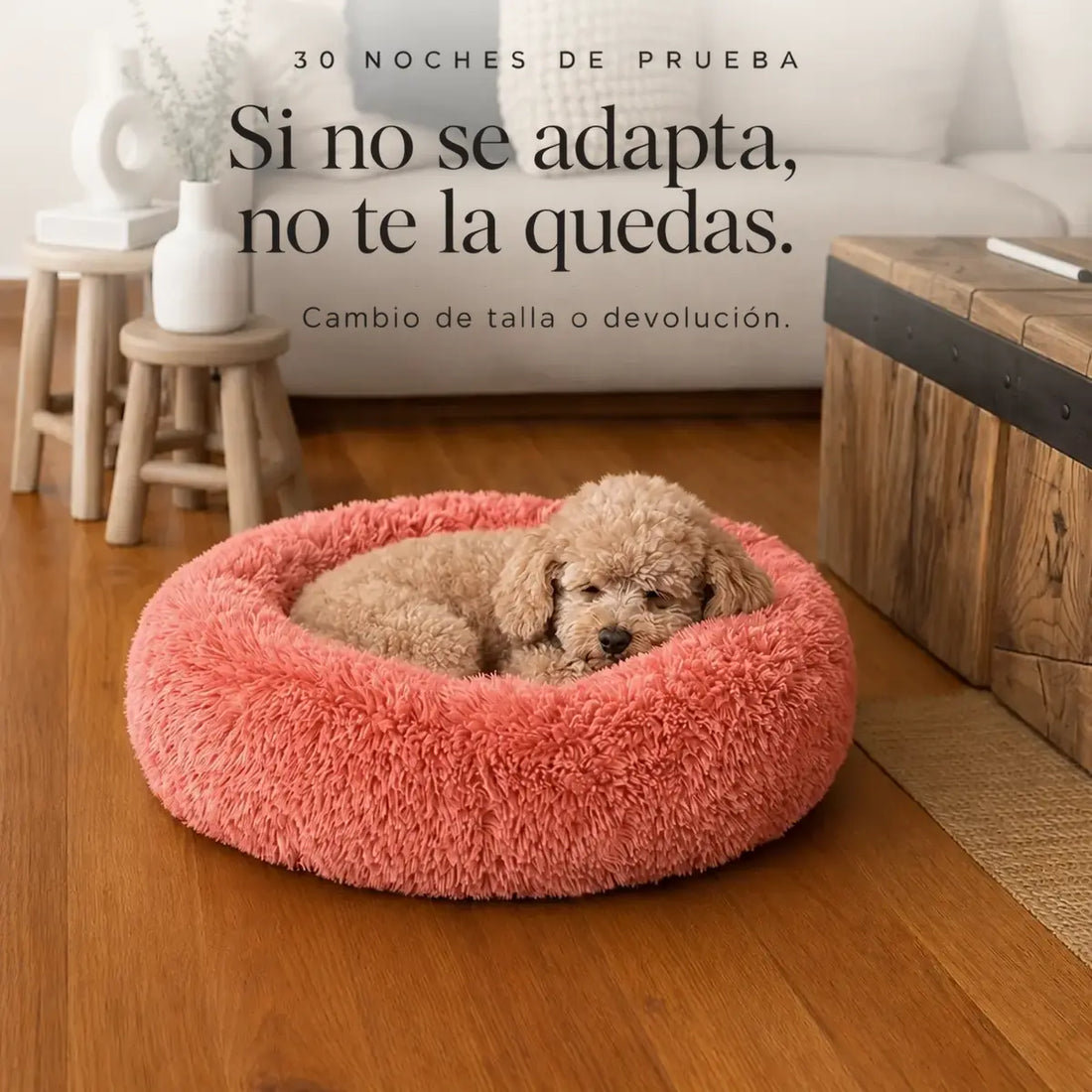 Cama Anti-Estrés THE DOGS — Menos ansiedad, más descanso