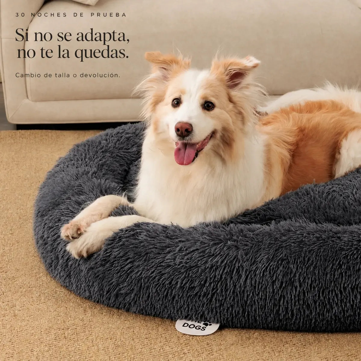 Cama Anti-Estrés THE DOGS — Menos ansiedad, más descanso
