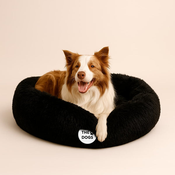 Cama Anti-Estrés THE DOGS — Menos ansiedad, más descanso
