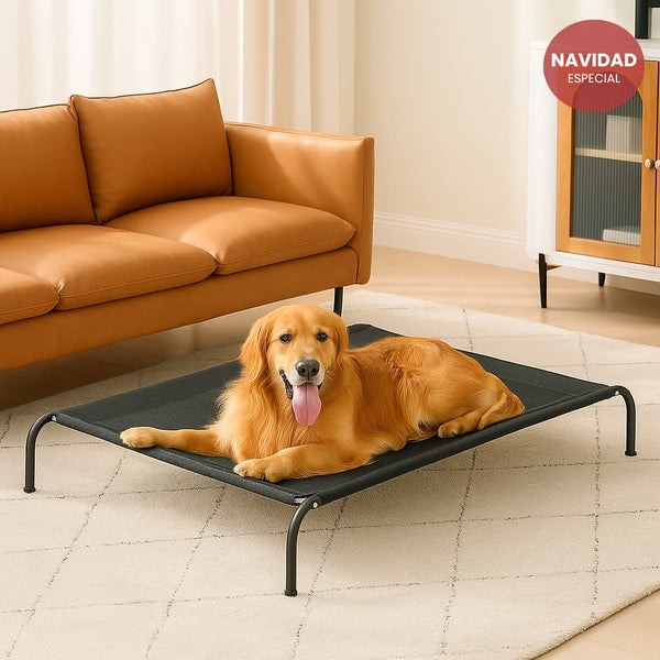 Cama Elevada THE DOGS: Frescura y Ventilación
