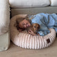 Luxury Edition: Cama Anti-Estrés THE DOGS