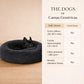 Cama Anti-Estrés THE DOGS — Menos ansiedad, más descanso