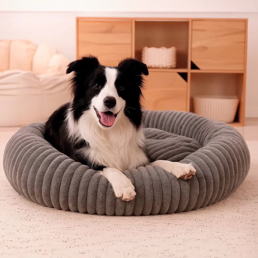 Luxury Edition: Cama Anti-Estrés THE DOGS