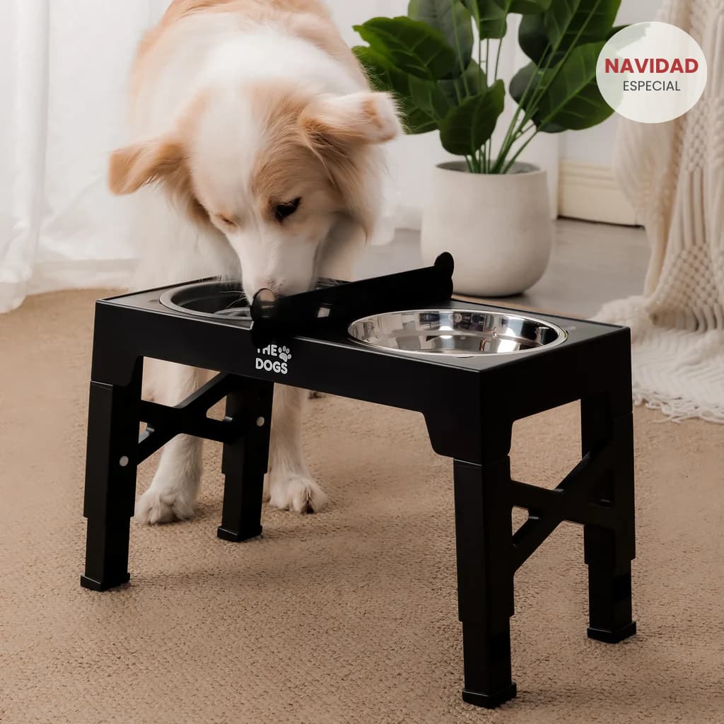Comedero Elevado THE DOGS Postura correcta en cada comida