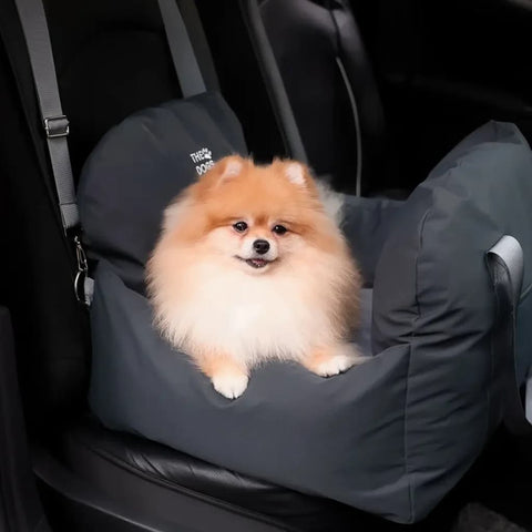 Asiento Primera Clase THE DOGS — Viajes seguros y cómodos