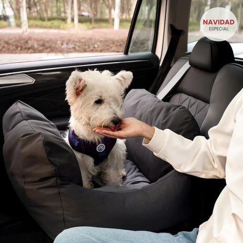 Asiento Primera Clase THE DOGS — Viajes seguros y cómodos