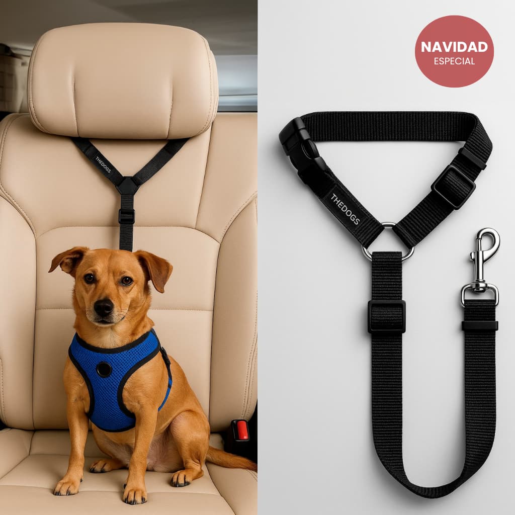 Cinturón Viajes Seguros