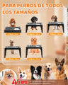 Comedero Elevado The Dogs - THE DOGS CHILE