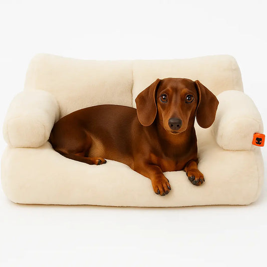 Sofa Vintage Thedogs - THE DOGS CHILE