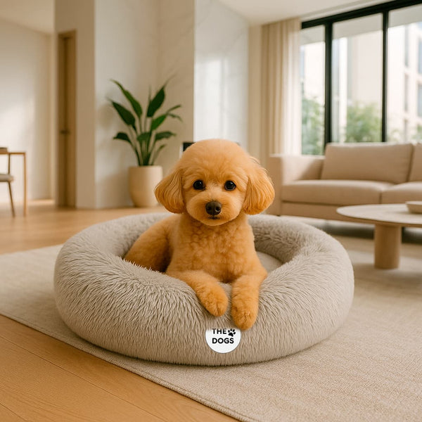 Cama Anti-Estrés THE DOGS — Menos ansiedad, más descanso