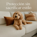 Funda mágica cubre sofa - THE DOGS CHILE