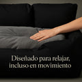 Asiento Primera Clase TheDogs - THE DOGS CHILE