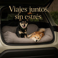 Asiento Primera Clase TheDogs - THE DOGS CHILE