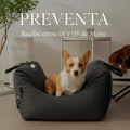 Asiento Primera Clase The Dogs