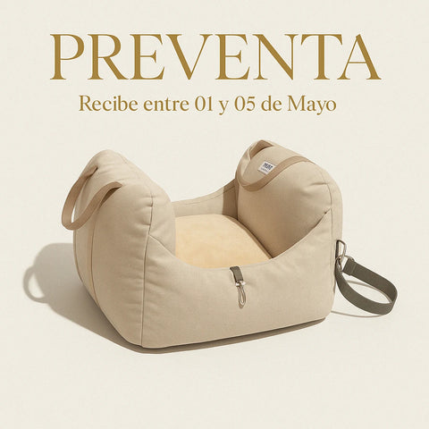 Asiento Primera Clase The Dogs