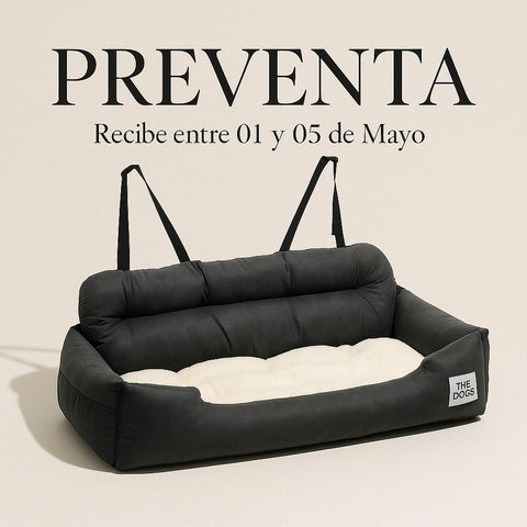 Asiento Primera Clase The Dogs